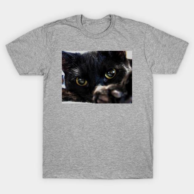 World Through a Cats Eyes T-Shirt by Photography_fan